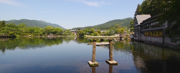 1/31 日本最大吊橋~九重夢大橋→日本百大名瀑~震動瀑布→湯布院藝術小鎮→金鱗湖森林小徑→享用溫泉飯店